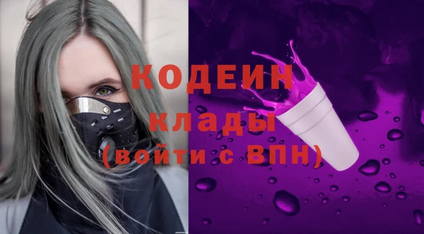 гидра Бронницы